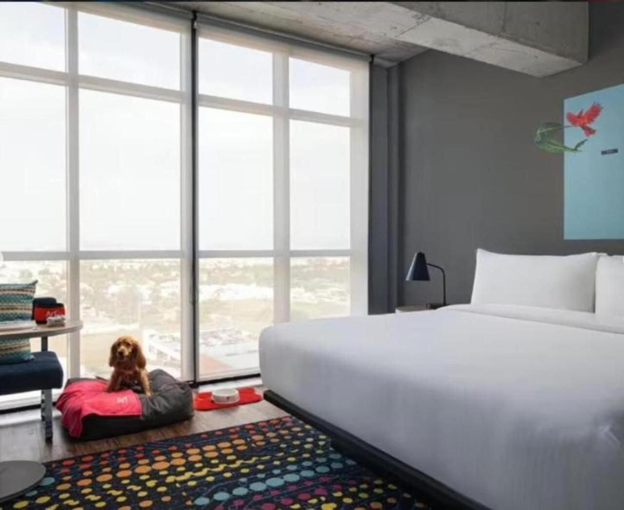 Aloft Guadalajara Sur Hotel Santa Anita  Luaran gambar